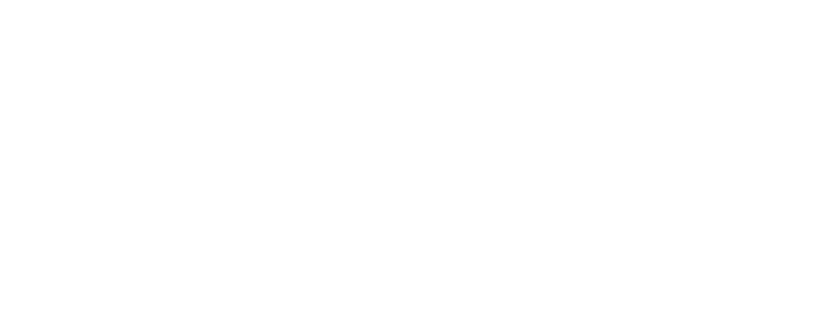 Voxel Rangers